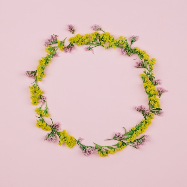 Free photo circular blank frame made with limonium and yellow goldenrods or solidago gigantea flowers against pink background