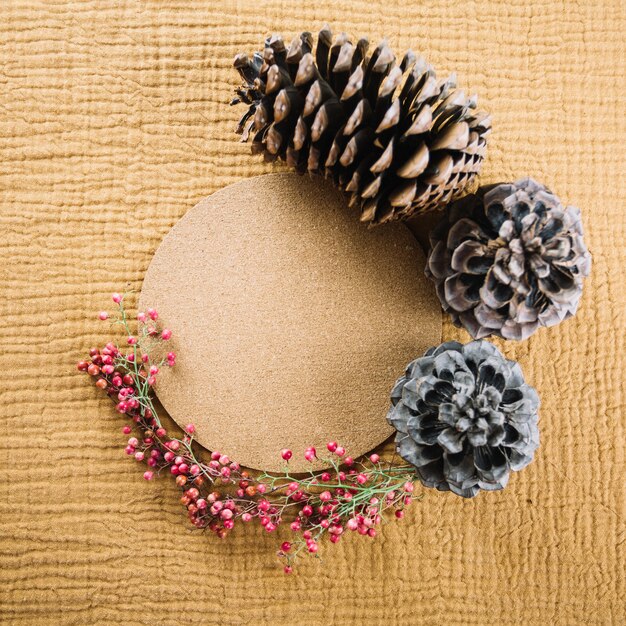 Free photo circular cardboard and pine cones