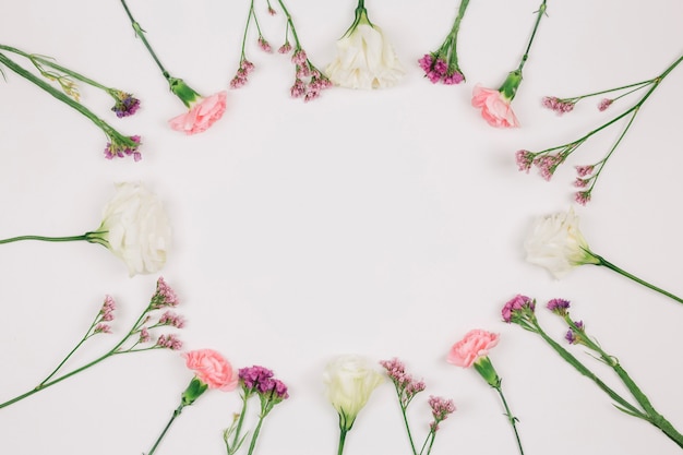 Free photo circular carnations flower frame with space in the center for writing the text on white backdrop