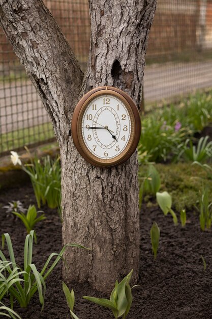 Circular clock outdoors still life