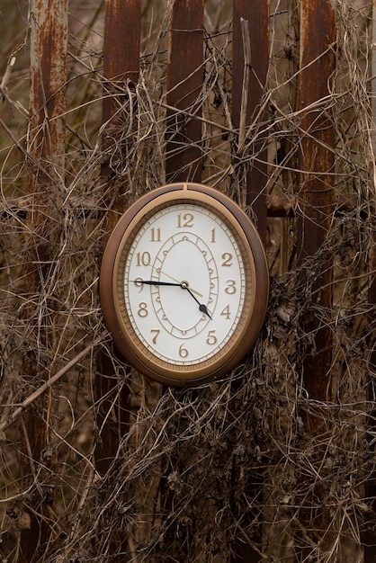 Free photo circular clock outdoors still life