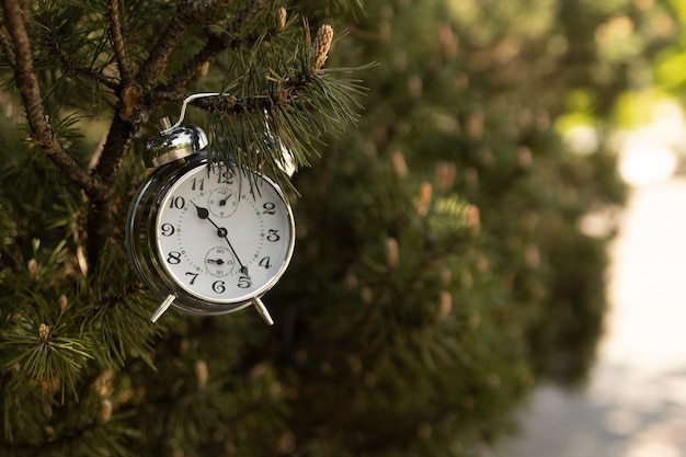 Free photo circular clock outdoors still life