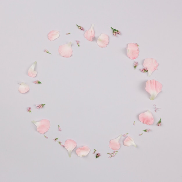 白い背景で隔離の花びらで作られた円形のフレーム