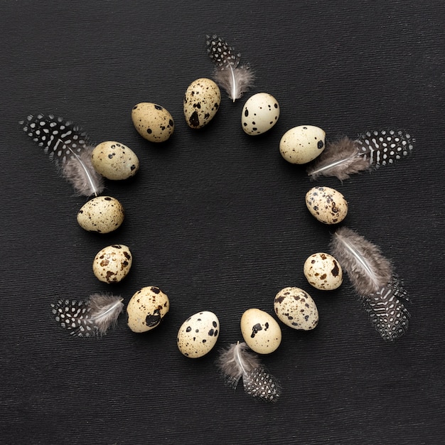 Free photo circular frame quail eggs top view