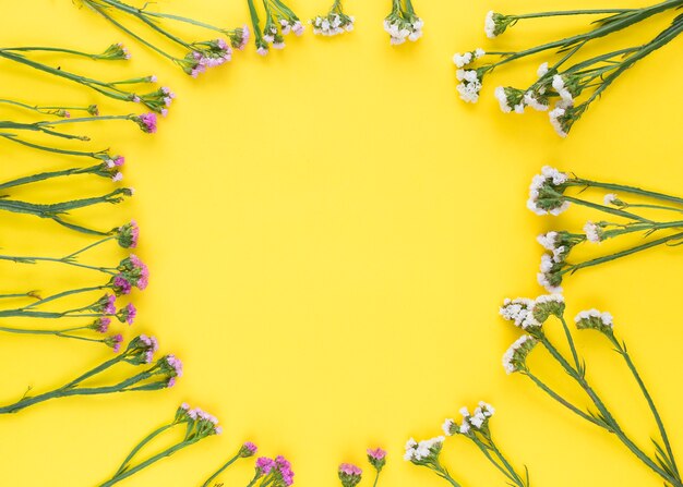 黄色の背景に円形のピンクと白の花