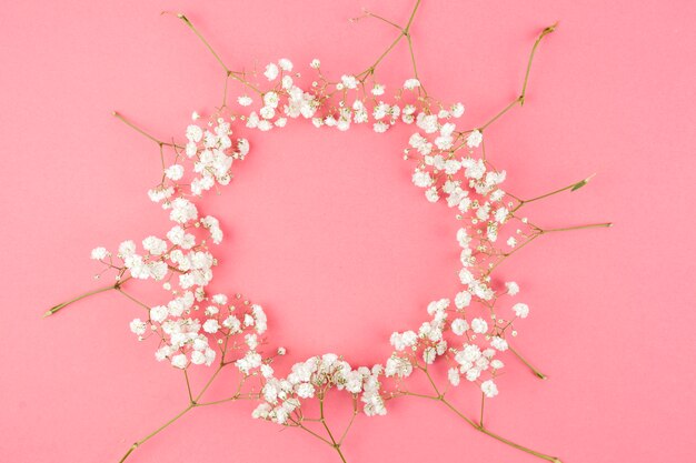 Circular shape made from baby's breath against peach background