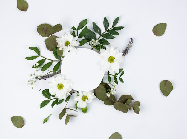 Circular white frame over white daisy and baby's breath flowers