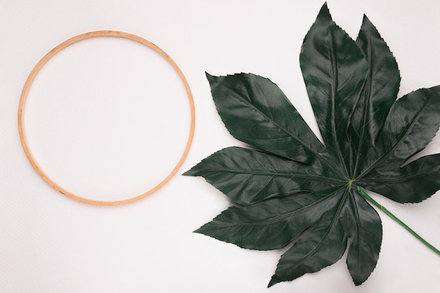 Circular wooden frame with one green leaf on white background