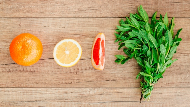 Citrus fruits and mint in row