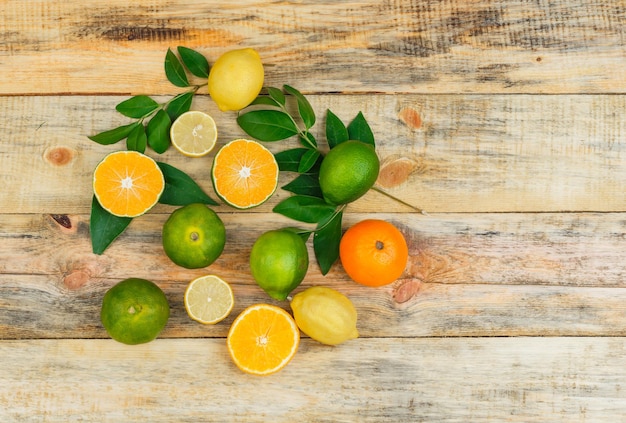 Free photo citrus fruits with leaves