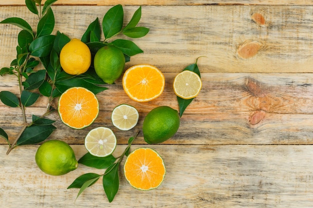 葉と柑橘系の果物