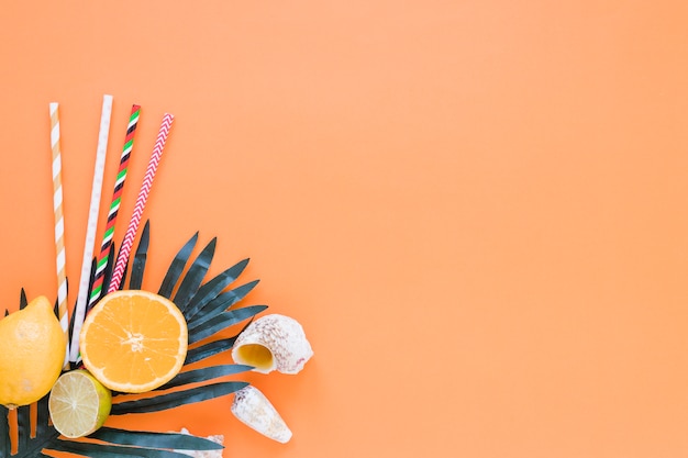 Citrus fruits with straws, palm leaf and shells