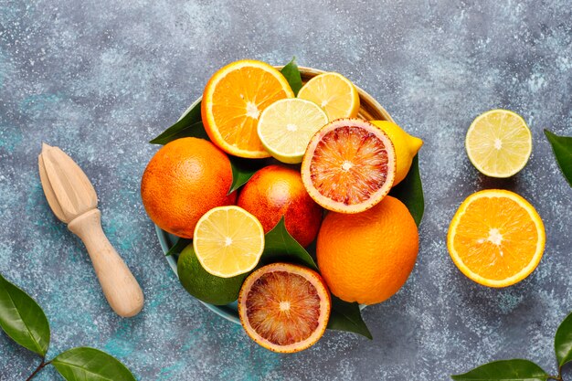 Цитрусовые с ассорти из свежих цитрусовых, лимон, апельсин, лайм, кроваво-оранжевый, свежий и красочный, вид сверху