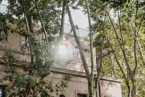 Foto gratuita edificio della città e alberi con luce solare