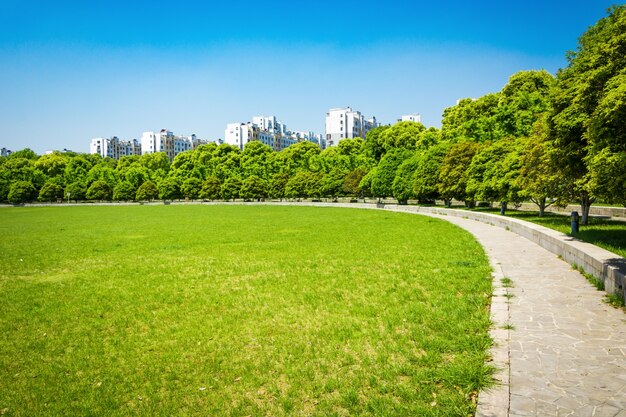 city and grass with blue sky