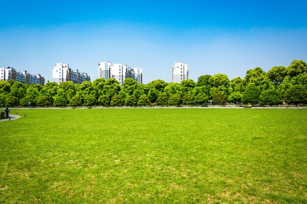 city and grass with blue sky