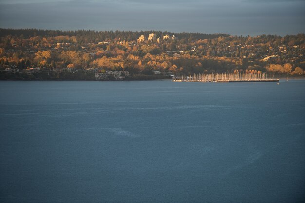 City and lake during the day