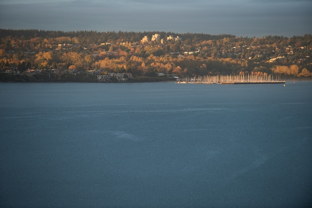 City and lake during the day