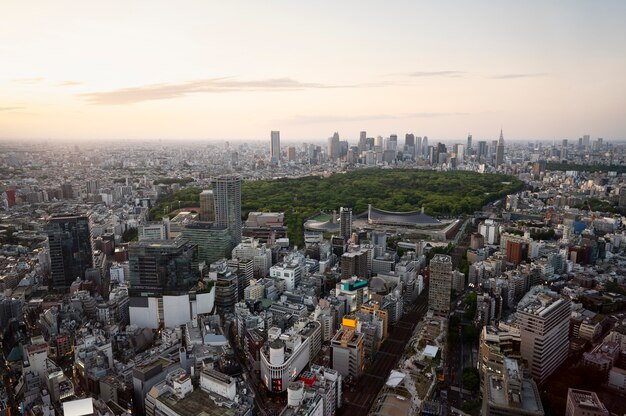 美しい公園の高角度の街の風景