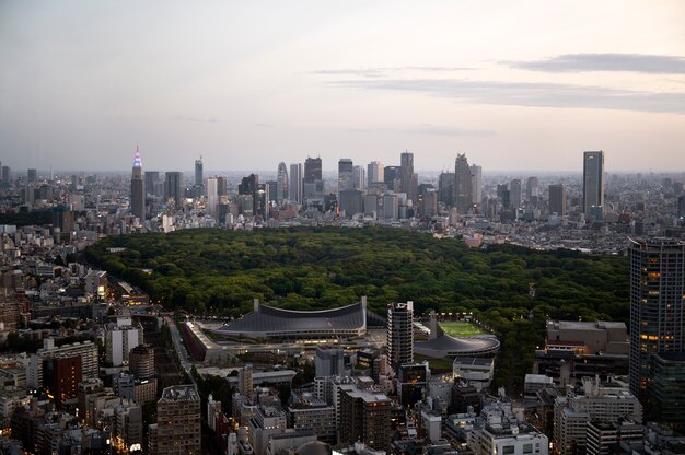 City landscape with beautiful park