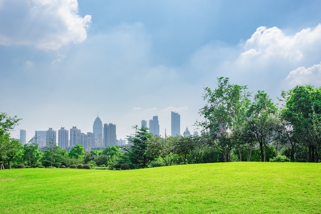 Free Photo city park under blue sky with downtown skyline in the background