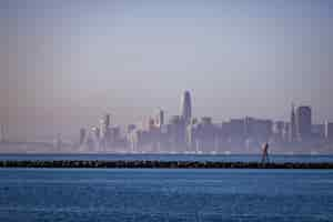 Free photo city skyline across body of water during daytime