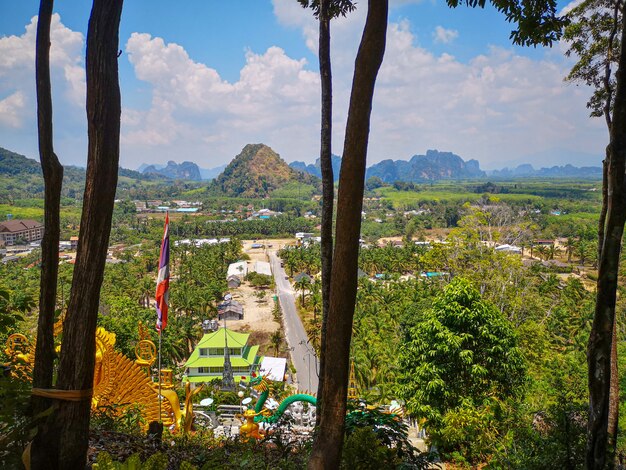 City with forest and mountains in the distance