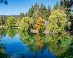 Foto gratuita lago limpido con il riflesso delle nuvole in esso circondato dalla foresta