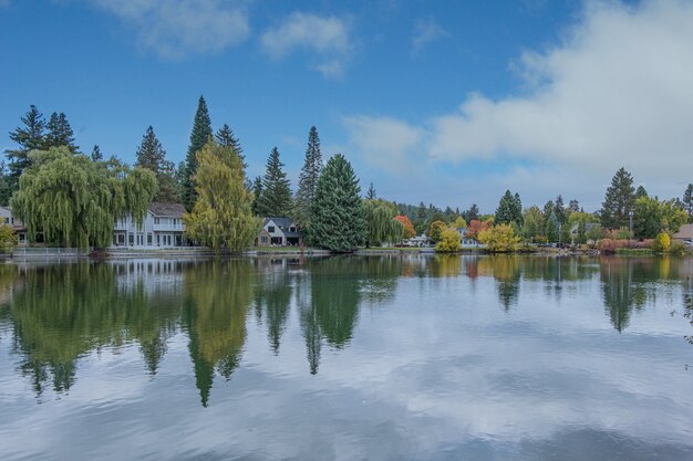 Чистое озеро с отражением облаков в окружении леса