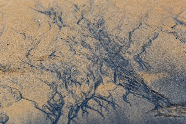 Free photo clear ocean water and sand