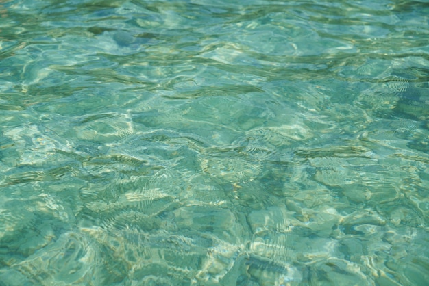 Foto gratuita clear sea background