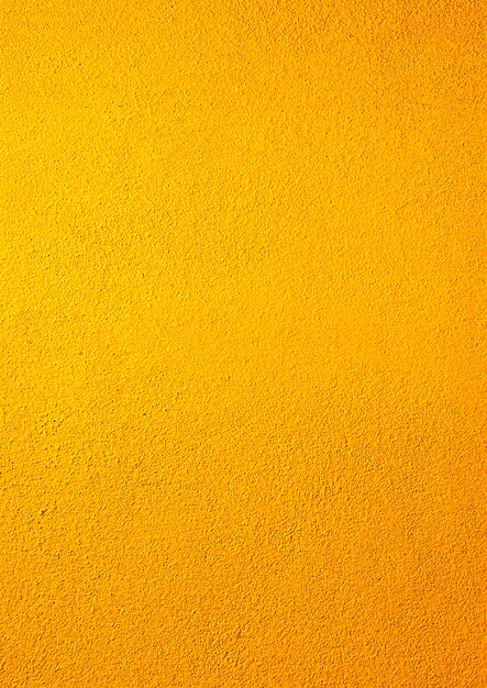 맑고 노란 벽