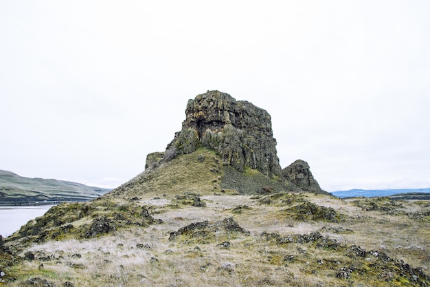 Cliff covered in grass and moss during daytime