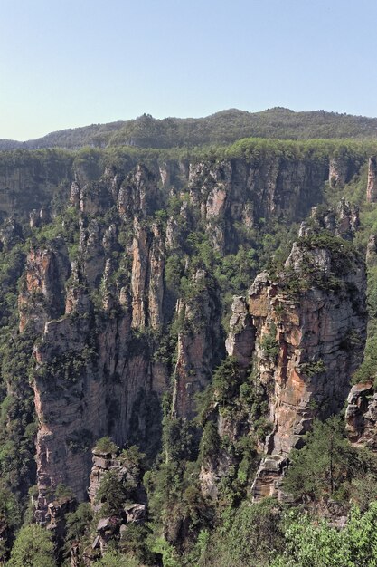 Cliff next to the mountain covered with trees and vegetation