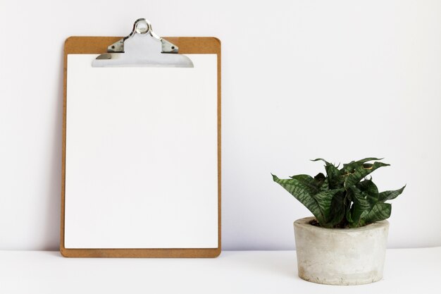Clipboard next to potted plant
