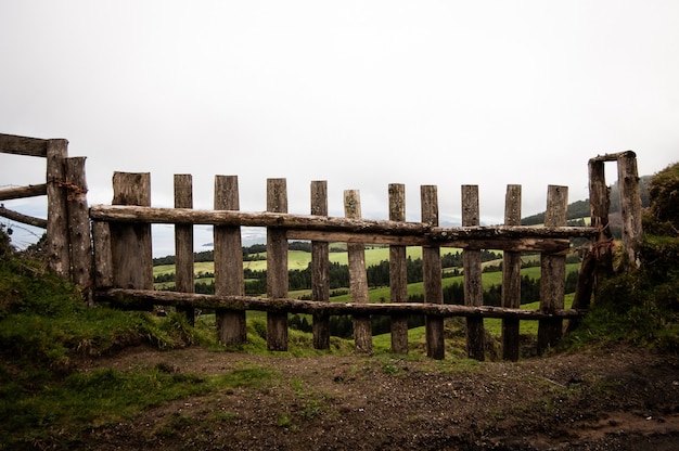 Close-range shot of a wooden fence with grassy field and trees in the background