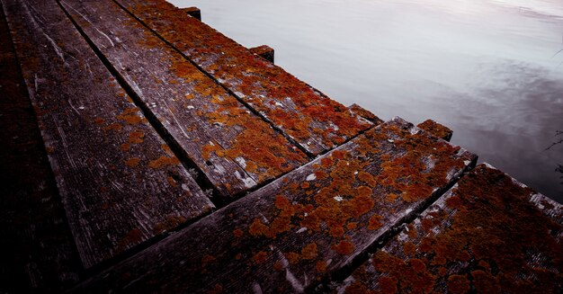 Close shot of a wooden pathway near the water with miss growing on it