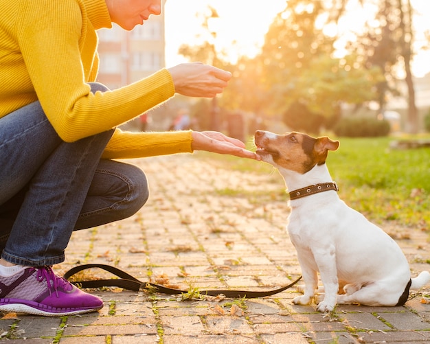 彼の所有者とのクローズアップの愛らしい子犬