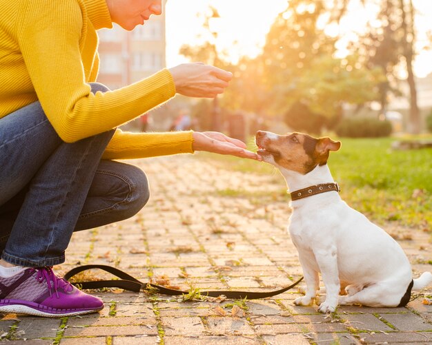 彼の所有者とのクローズアップの愛らしい子犬