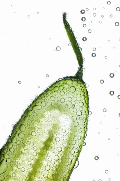 Close-up of air bubbles covering piece of fresh cucumber floating in water