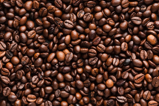 커피 콩의 근접 배열