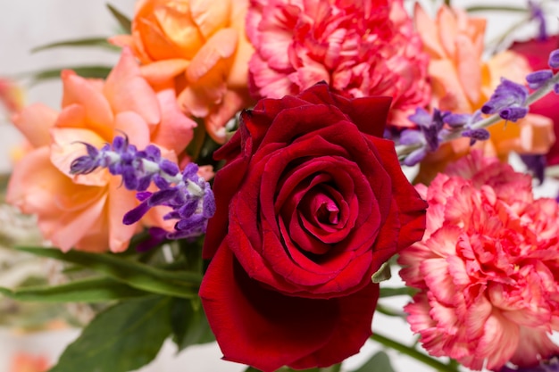 Free photo close-up arrangement of pretty roses