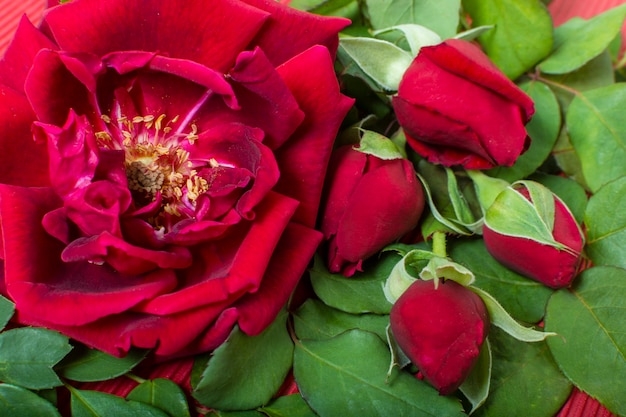 Close-up artistic red rose petal