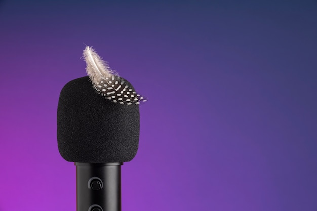 Free photo close up on asmr recording of feather