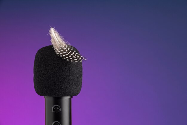 Close up on asmr recording of feather