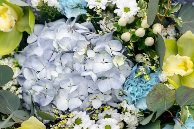 Close-up assortment of colorful flowers