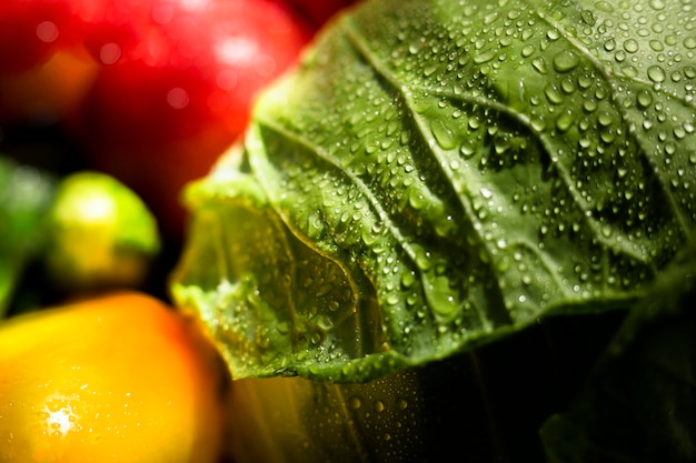 Close-up assortment of fresh autumnal vegetables