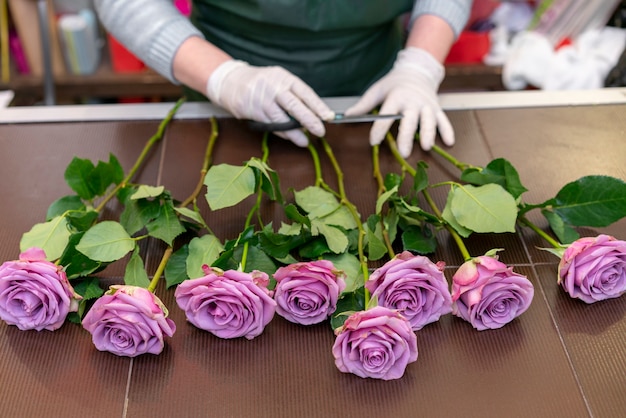 Free photo close-up assortment of purple roses