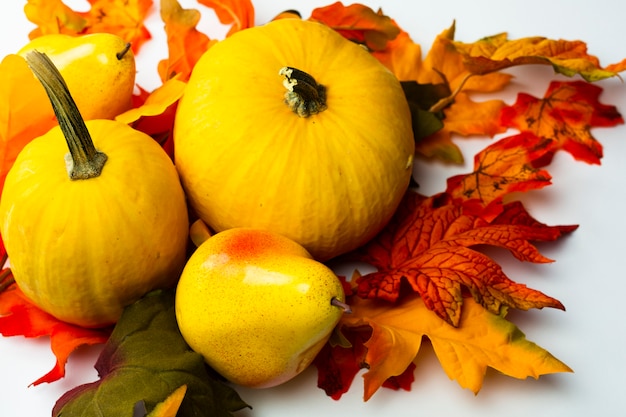 Close-up autumn food with leaves