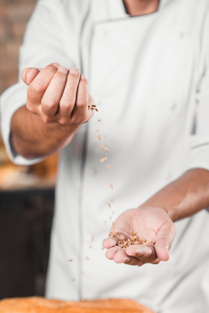 Крупный план руки пекаря, бросающего зернышки коричневой пшеницы